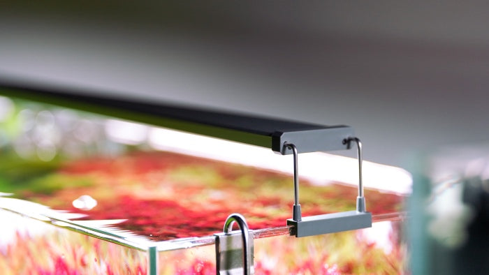 Chihiros Aquatic Studio Halterung für B ausziehbar – Ersatzteil für das Aquarium bei AquascapingForLife