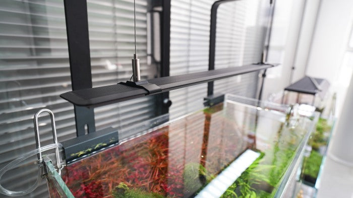 Chihiros Aquatic Studio Seilaufhängung für A2 Serie – Aquarium-Beleuchtung für das Aquarium bei AquascapingForLife