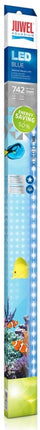 Juwel Aquarium Blue LED – Aquarium-Beleuchtung für das Aquarium bei AquascapingForLife