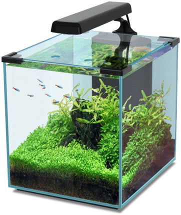 Aquatlantis Cubic LED Aquarienset – Aquarien für das Aquarium bei AquascapingForLife