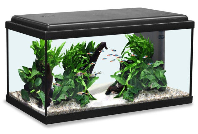 Aquatlantis Advance LED Aquarienset – Aquarien für das Aquarium bei AquascapingForLife