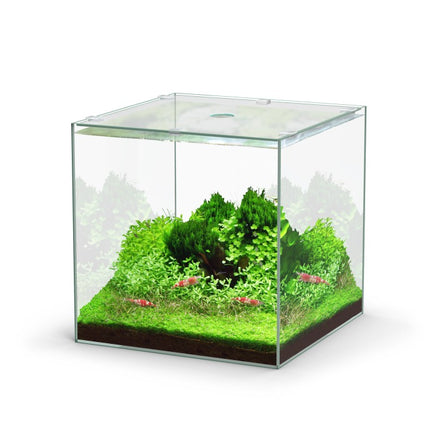 Aquatlantis Kubus 22 L Glasbecken – Aquarien für das Aquarium bei AquascapingForLife