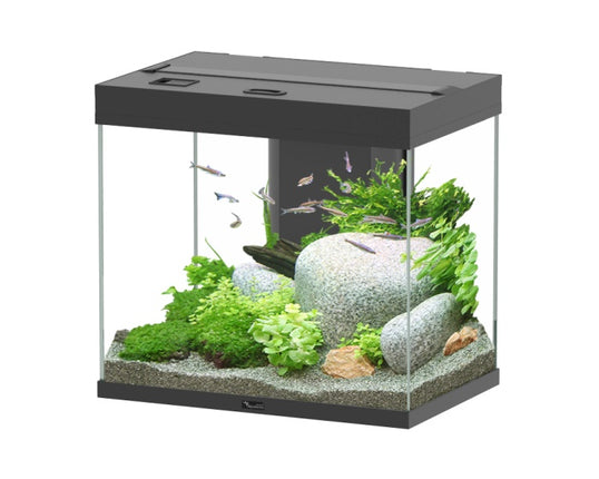 Aquatlantis Splendid Ultra Aquarium – Aquarien für das Aquarium bei AquascapingForLife