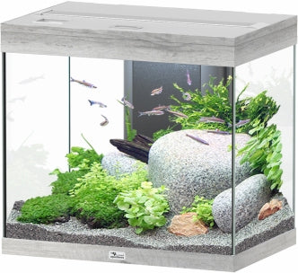 Aquatlantis Splendid Ultra Esche Aquarium – Aquarien für das Aquarium bei AquascapingForLife