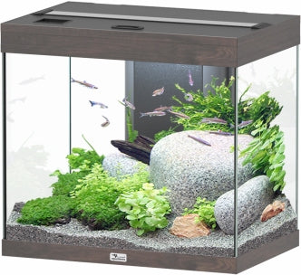 Aquatlantis Splendid Ultra Wildeiche Dunkel Aquarium – Aquarien für das Aquarium bei AquascapingForLife