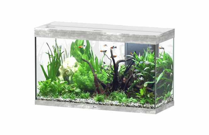 Aquatlantis Splendid Ultra Steinoptik Aquarium – Aquarien für das Aquarium bei AquascapingForLife