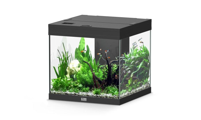 Aquatlantis Aqua Tower /nussbaum Aquarium – Aquarien für das Aquarium bei AquascapingForLife