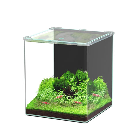 Aquatlantis Kubus Curve 30L LED - Basic – Aquarien für das Aquarium bei AquascapingForLife
