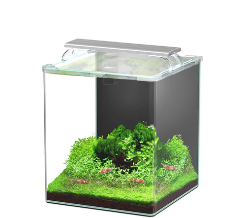 Aquatlantis Kubus Curve LED Essential – Aquarien für das Aquarium bei AquascapingForLife