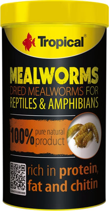Tropical Meal Worms (250 ml) – Fischfutter für das Aquarium bei AquascapingForLife