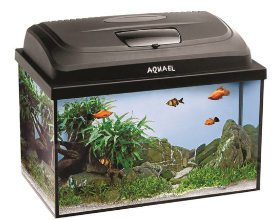 Aquael Aquarienset CLASSIC BOX 40 Day&Night – Aquarien für das Aquarium bei AquascapingForLife