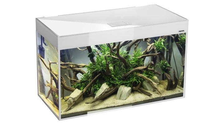 Aquael GLOSSY ST Set D&N Aquarium – Aquarien für das Aquarium bei AquascapingForLife