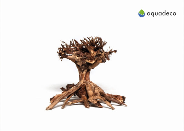 Aquadeco Mammut Bonsai – Hölzer und Wurzeln für das Aquarium bei AquascapingForLife