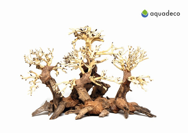 Aquadeco Wald Bonsai – Hölzer und Wurzeln für das Aquarium bei AquascapingForLife