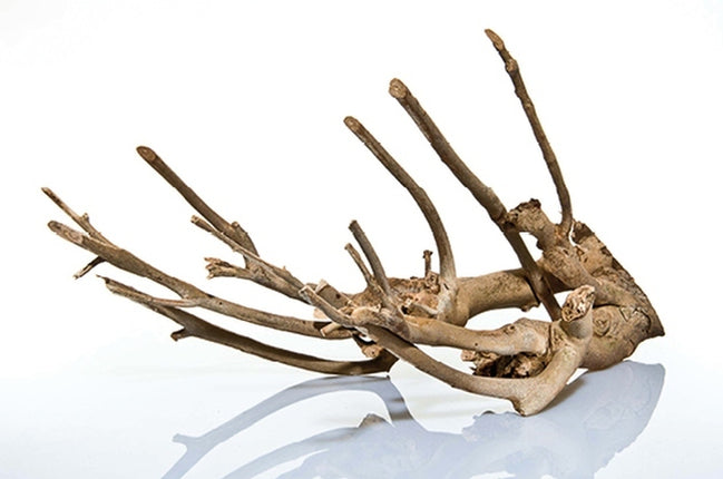 Aquadeco Talawa Holz – Aquarium-Deko für das Aquarium bei AquascapingForLife
