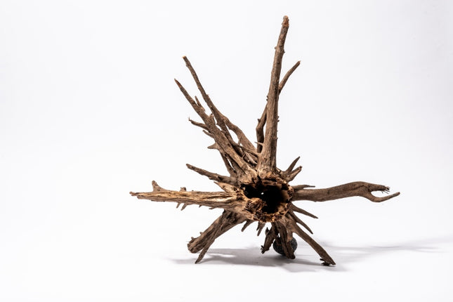 Aquadeco Corbo Stump – Aquarium-Deko für das Aquarium bei AquascapingForLife