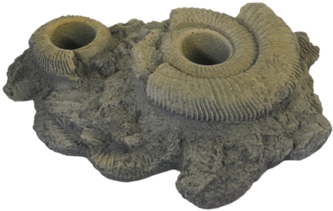 Variogart (KS Graphik) Pflanzhilfe 12 Fossilien – Aquarium-Deko für das Aquarium bei AquascapingForLife