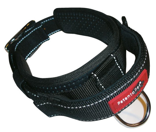 PatentoPet Sport Halsband – Geschirre & Halsbänder für das Aquarium bei AquascapingForLife