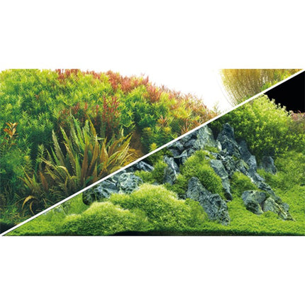 Hobby (Dohse) Fotorückwand River/Rocks – Rückwände & Poster für das Aquarium bei AquascapingForLife