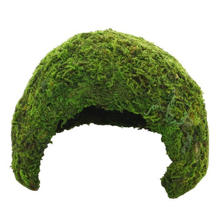Hobby (Dohse) Jungle Cave – Aquarium-Deko für das Aquarium bei AquascapingForLife