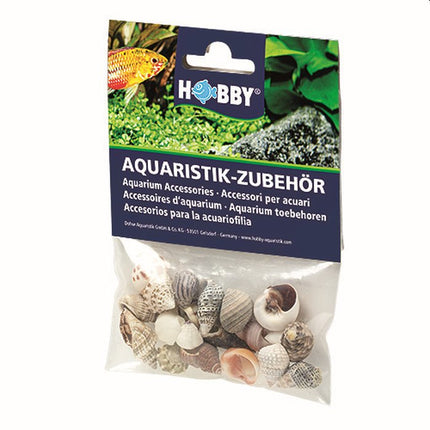 Hobby (Dohse) Sea Shells Set S (20 Stück), SB – Ornamente und sonstige Dekoration für das Aquarium bei AquascapingForLife