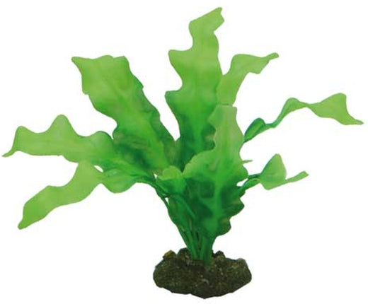 Hobby (Dohse) Echinodrus (20 cm) – Kunststoffpflanzen für das Aquarium bei AquascapingForLife