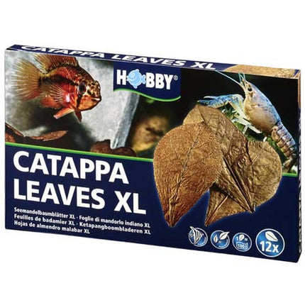 Hobby (Dohse) Catappa Leaves XL, 12 St., SB – Wasserzusätze/Dünger/Medikamente für das Aquarium bei AquascapingForLife