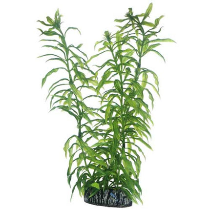 Hobby (Dohse) Heteranthera – Aquarium-Deko für das Aquarium bei AquascapingForLife