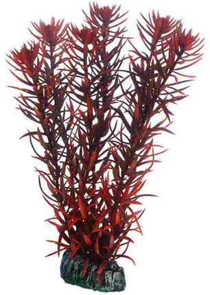 Hobby (Dohse) Eusteralis 20 cm, SB – Kunststoffpflanzen für das Aquarium bei AquascapingForLife