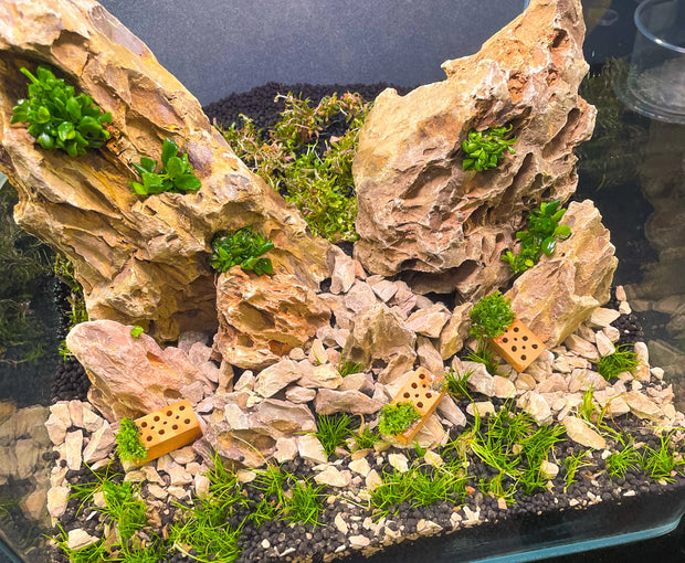 Banner image for: <h1>Hardscape</h1>