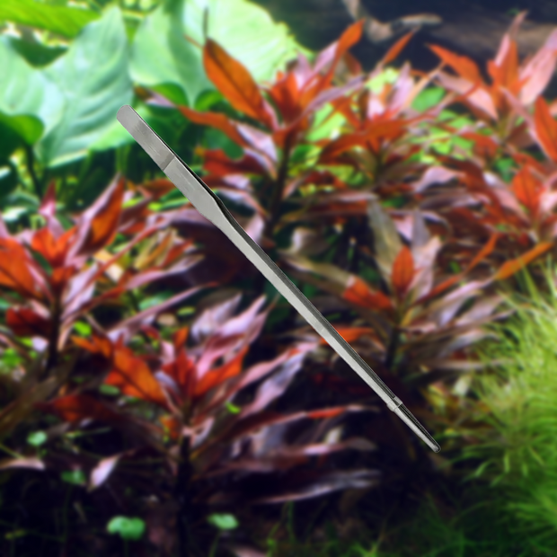 Banner image for: <h1>Aquascaping Tools</h1>