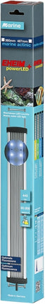 Eheim powerLED+ marine actinic – Aquarium-Beleuchtung für das Aquarium bei AquascapingForLife