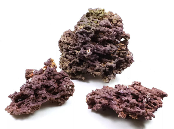 Jurassic Reef Rock - Meerwassersteine - GarnelenTv-Shop