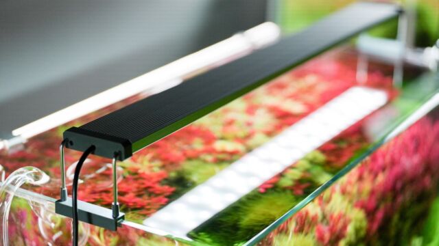 B-Serie inkl. Bluetooth - DE Version Chihiros - AquascapingForLife