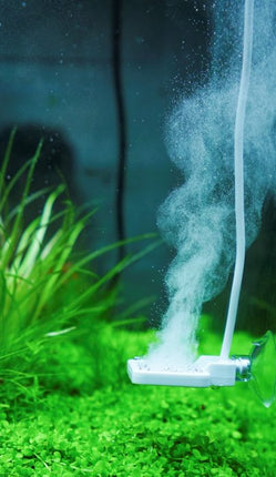 Chihiros Aquatic Studio Reaktor für Doctor Mate – Ansicht 2
