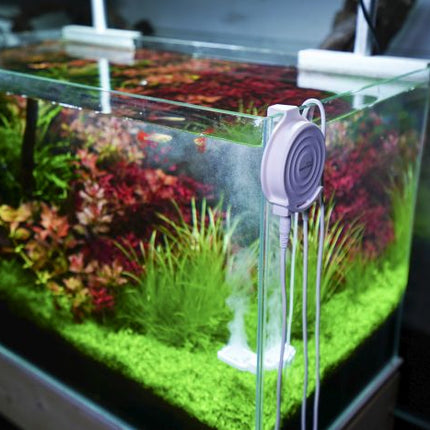 Chihiros Aquatic Studio Reaktor für Doctor Mate – Ansicht 4