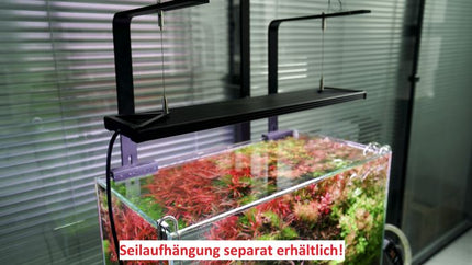 Chihiros Aquatic Studio WRGB Pro DE Version – Ansicht 23