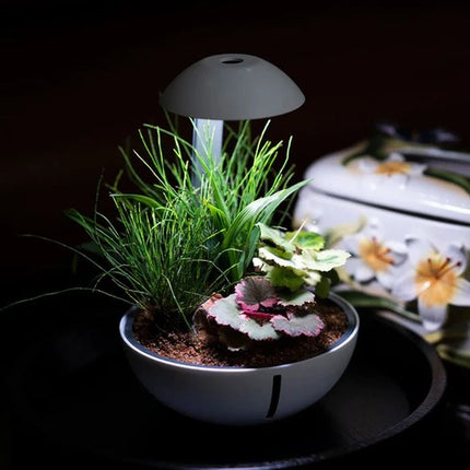 Tiny Terrarium Egg (10 W) - DE Version Chihiros