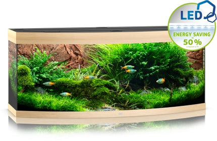 Juwel Aquarium Vision LED Aquarium – Ansicht 15