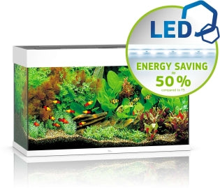 Juwel Aquarium Rio LED Aquarium – Aquarien für das Aquarium bei AquascapingForLife
