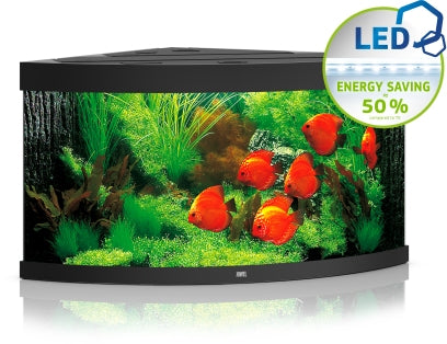 Juwel Aquarium Trigon LED Aquarium – Ansicht 11