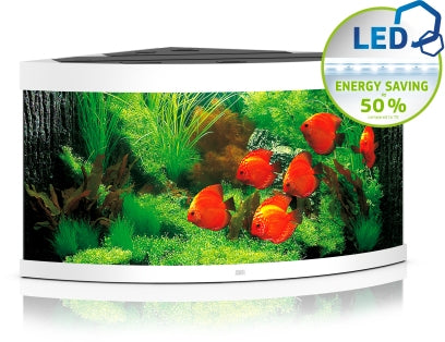 Juwel Aquarium Trigon LED Aquarium – Ansicht 9