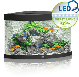 Juwel Aquarium Trigon LED Aquarium – Ansicht 5