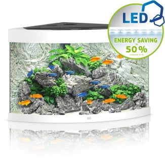 Juwel Aquarium Trigon LED Aquarium – Ansicht 3