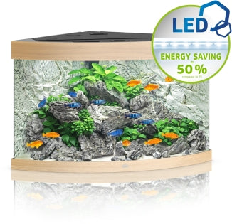 Juwel Aquarium Trigon LED Aquarium – Aquarien für das Aquarium bei AquascapingForLife