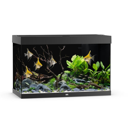 Juwel Aquarium Rio LED Aquarium – Ansicht 24