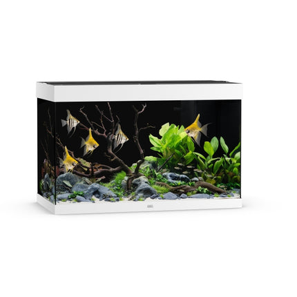 Juwel Aquarium Rio LED Aquarium – Ansicht 28