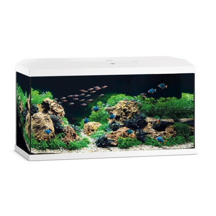 Juwel Aquarium Primo 2.0 – Ansicht 12