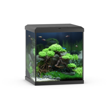 Juwel Aquarium Vio Cube Aquarium – Aquarien für das Aquarium bei AquascapingForLife