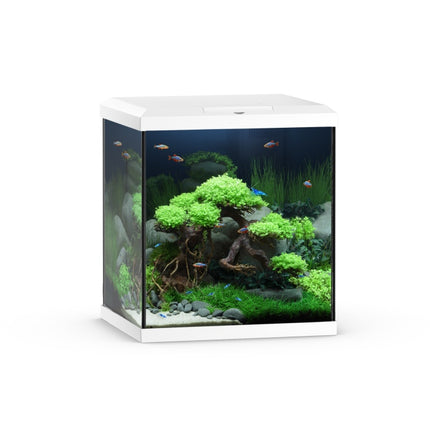 Juwel Aquarium Vio Cube Aquarium – Ansicht 6
